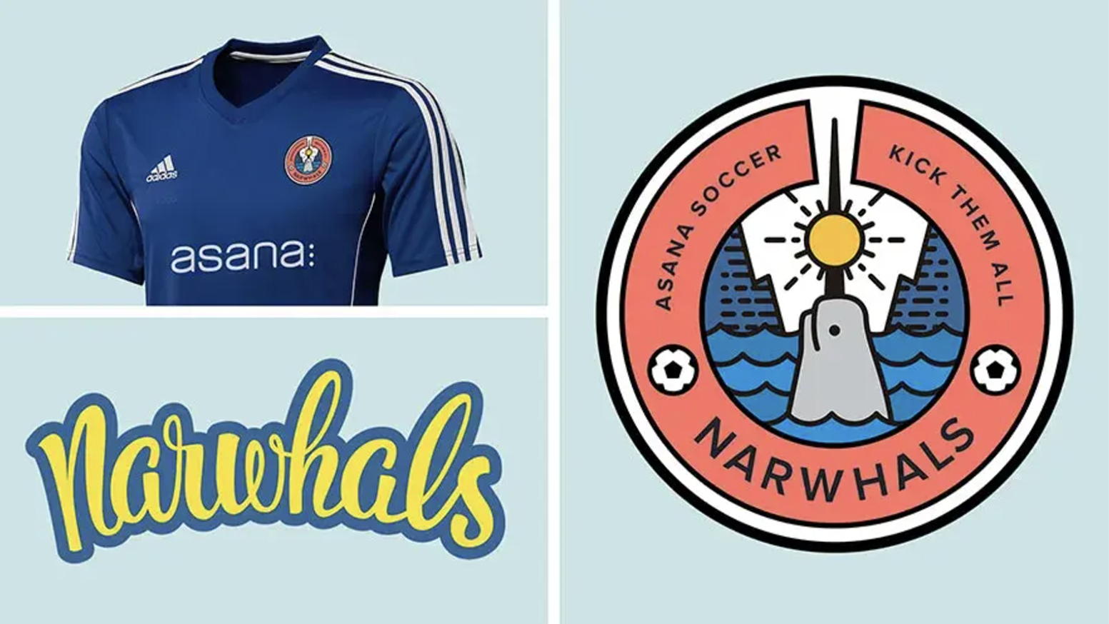 Asana Narwhals soccer team