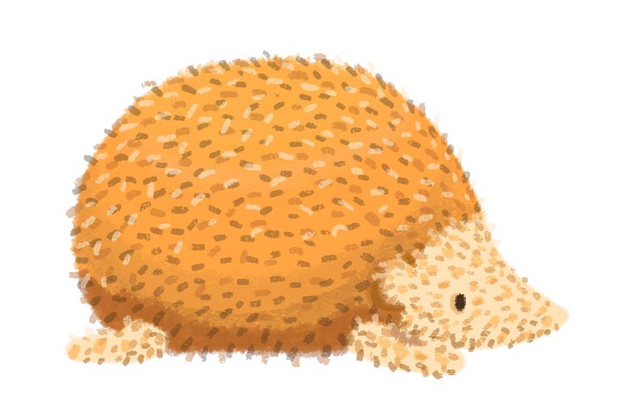 One hedgehog is quietly outperforming most brand campaigns